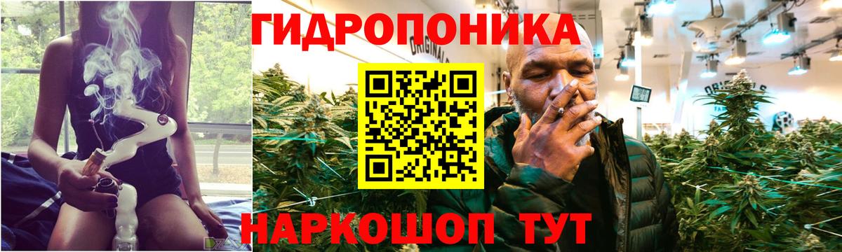 Конопля White Widow  Вход с VPN  Шишки марихуана семена  Миасс  Канабис MAZAR 